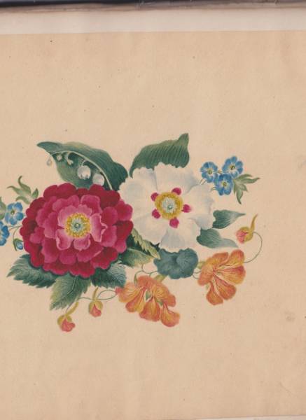 scan_20241201_10_.jpg scan_20241201_10_.jpg