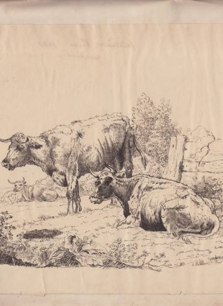 scan_20241126_2_.jpg scan_20241126_2_.jpg