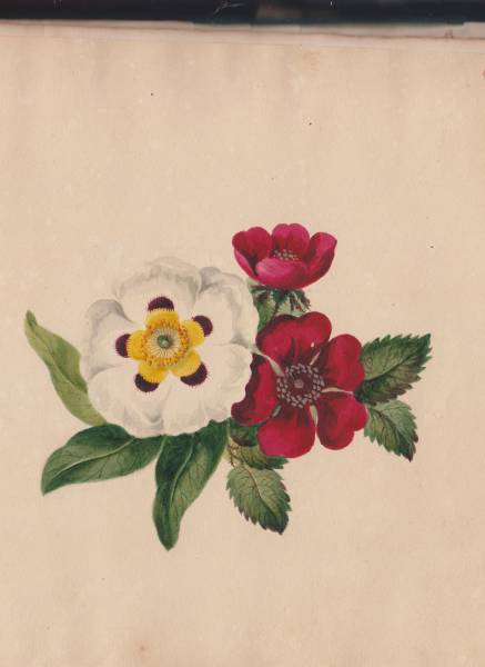 scan_20241201_12_.jpg scan_20241201_12_.jpg