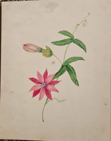 20250228_093921.jpg 20250228_093921.jpg