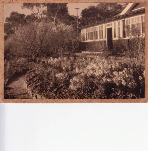 birrilli_2.jpeg birrilli_2.jpeg