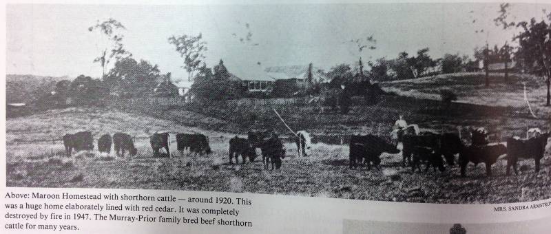 maroon_c1920.jpg maroon_c1920.jpg