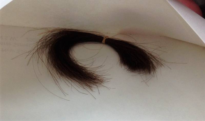 hair_copy.jpg hair_copy.jpg