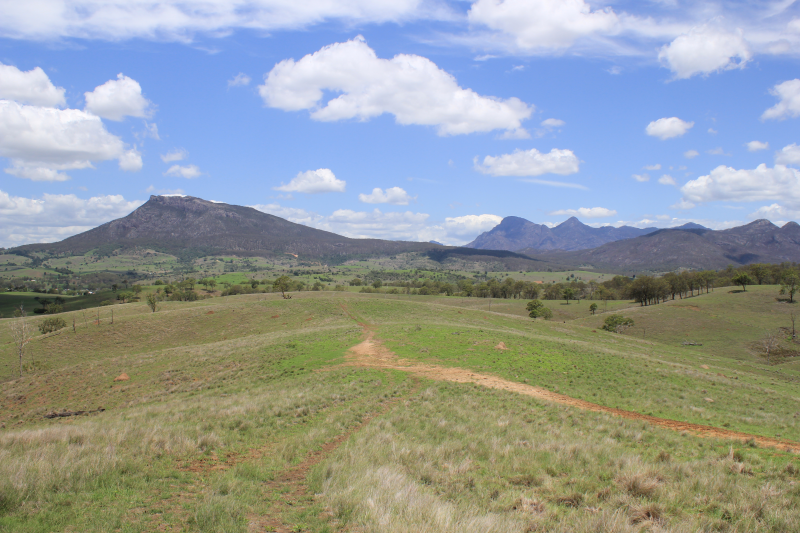 image_deb_stenzel.png image_deb_stenzel.png