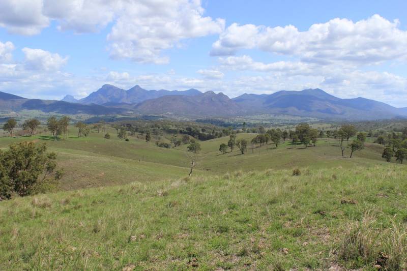 picture1.jpg picture1.jpg