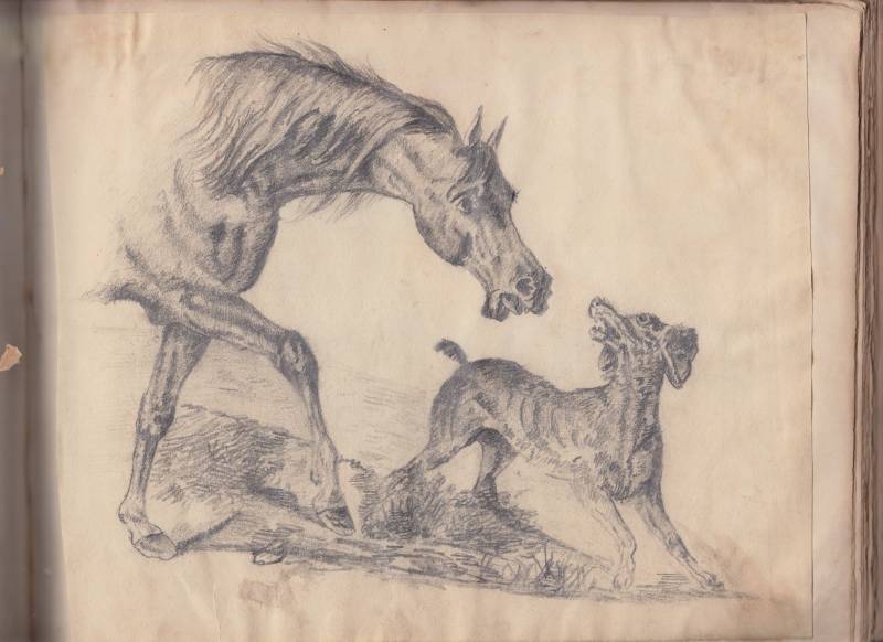 scan_20241201.jpg scan_20241201.jpg