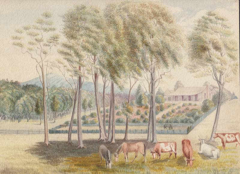 maroon_colour_unknown.jpg maroon_colour_unknown.jpg