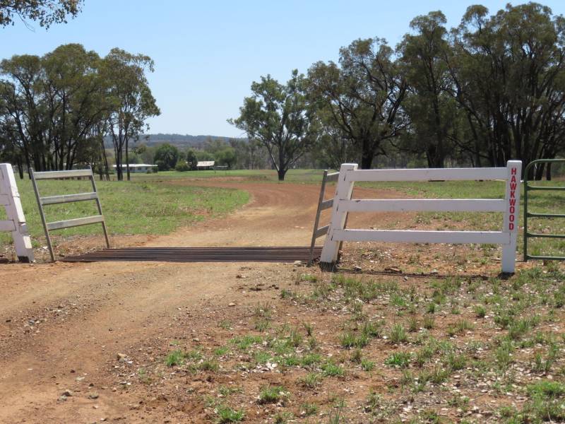 hawkwood_gate.jpg hawkwood_gate.jpg