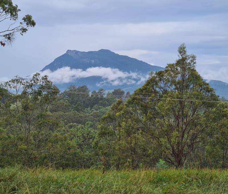 20250421_155537.jpg 20250421_155537.jpg