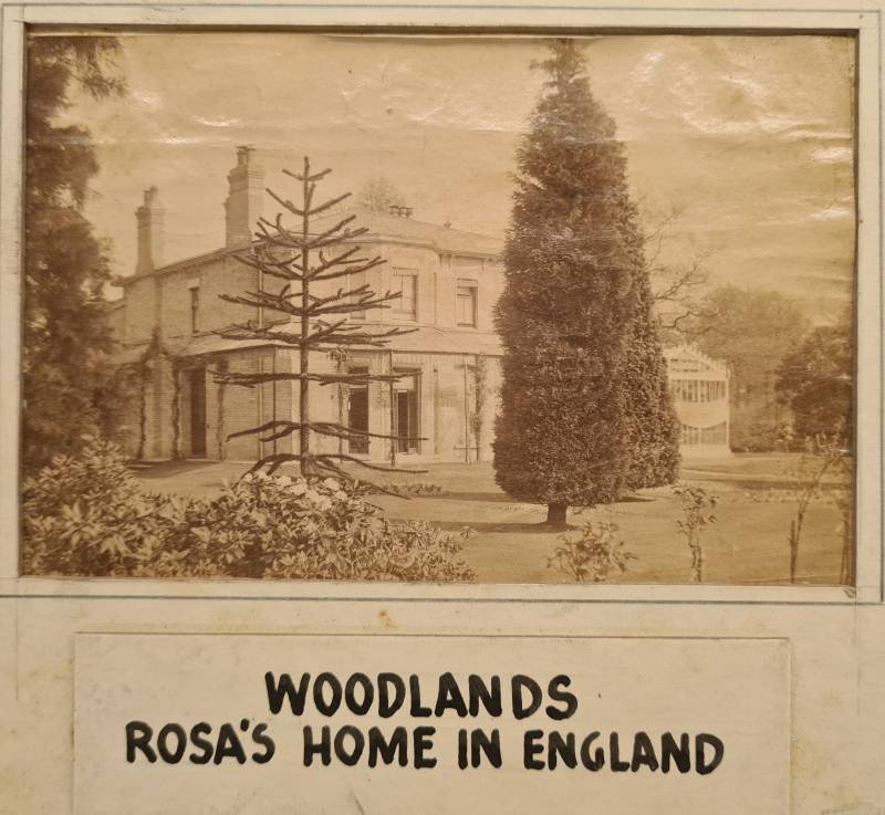 woodlands_20250420_132735.jpg woodlands_20250420_132735.jpg